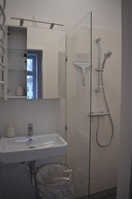 וינה Ds Apartment 5 מראה חיצוני תמונה
